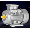 Horizontal TC8022  Single-phase  asynchronous motor Cast aluminum housing 220v 50hz 1.1kw 2800pm  B3